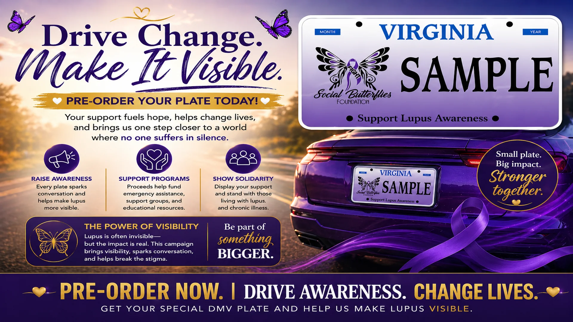 DMV Lupus awareness license plate campaign banner